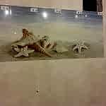 Ankarada fayans ustası Selman Doğan Usta